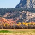 Exploring Devils Tower: A Day Trip from Lead, South Dakota
