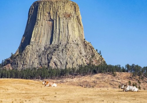 Exploring Devils Tower: A Day Trip from Lead, SD
